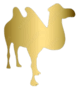 Imagem de um Camelo